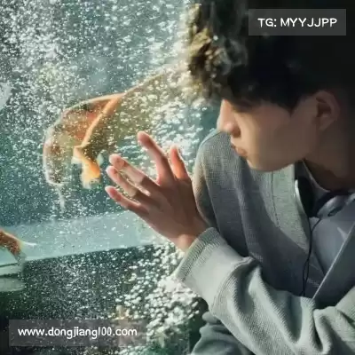 陈迎吉